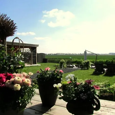 Sfeer En Meer * Zuid-Beijerland