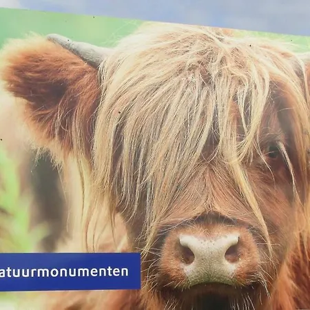Sfeer En Meer