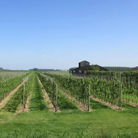 Sfeer En Meer * Zuid-Beijerland
